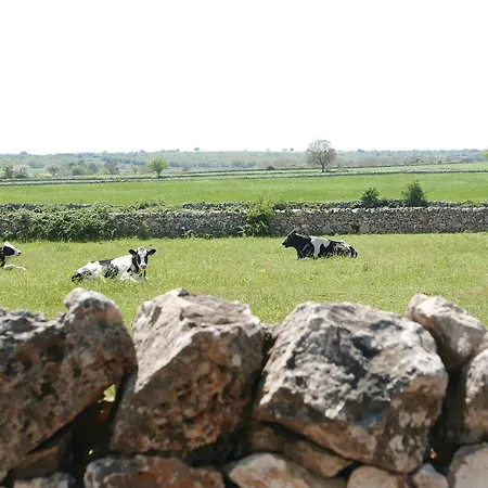 Masseria Murgia Albanese Bed & Breakfast
